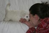 ADULTE ET CHIEN 355